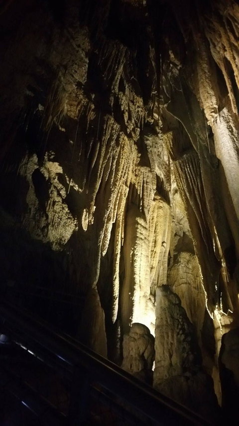 Small-group DayTour From Hobart: Hastings Caves, Huon Valley And Tahune AirWalk - Brisbane Tourism 5
