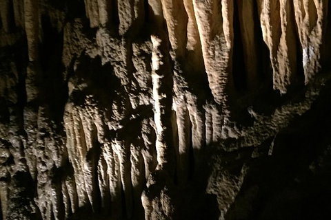 Small-group DayTour From Hobart: Hastings Caves, Huon Valley And Tahune AirWalk - Brisbane Tourism 1