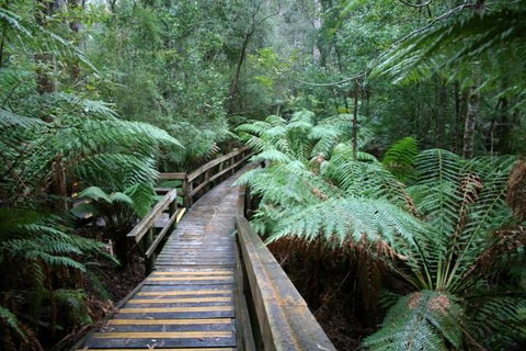 Small-group DayTour From Hobart: Hastings Caves, Huon Valley And Tahune AirWalk - Brisbane Tourism 0