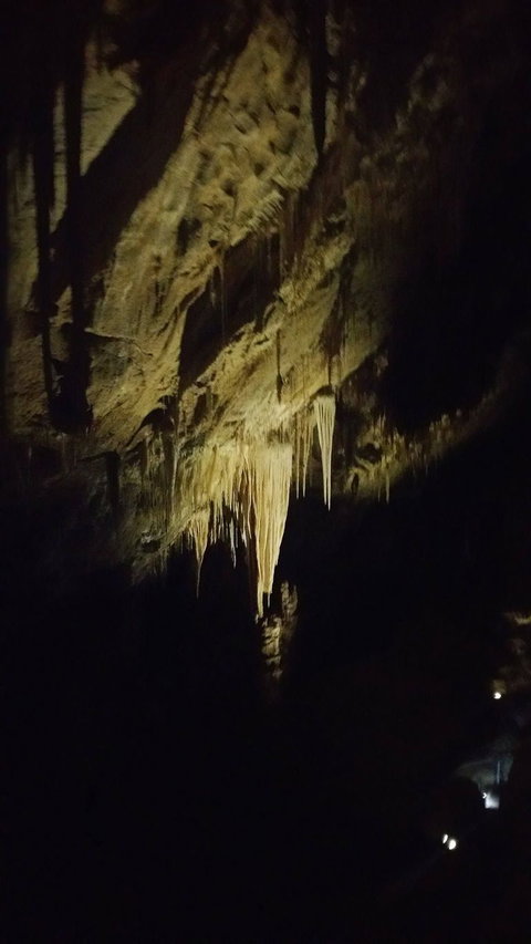 Small-group DayTour From Hobart: Hastings Caves, Huon Valley And Tahune AirWalk - Brisbane Tourism 7