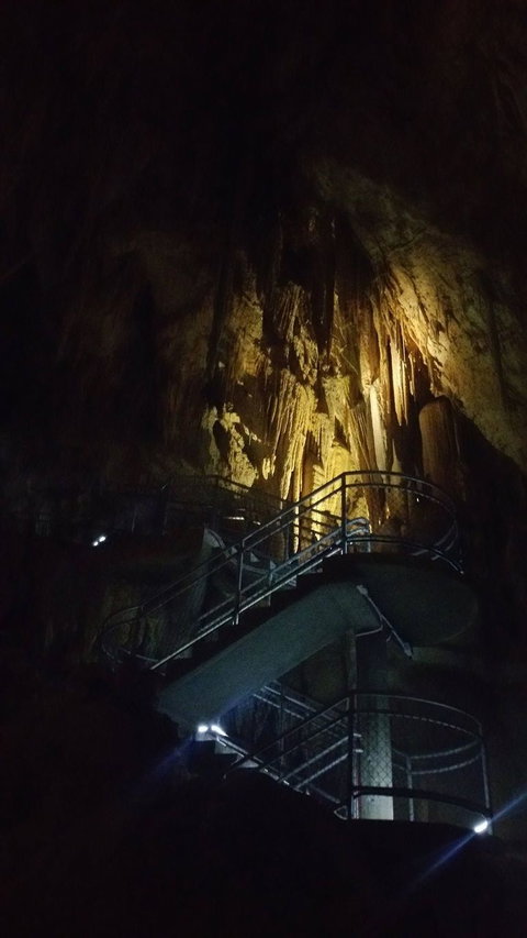 Small-group DayTour From Hobart: Hastings Caves, Huon Valley And Tahune AirWalk - Brisbane Tourism 4
