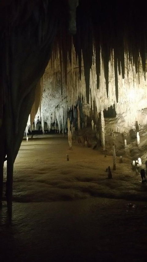 Small-group DayTour From Hobart: Hastings Caves, Huon Valley And Tahune AirWalk - Brisbane Tourism 8