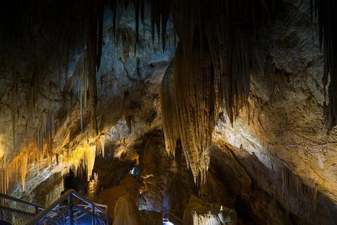 Small-group DayTour From Hobart: Hastings Caves, Huon Valley And Tahune AirWalk - Brisbane Tourism 19