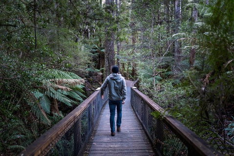 Small-group DayTour From Hobart: Hastings Caves, Huon Valley And Tahune AirWalk - Brisbane Tourism 11