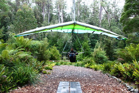 Small-group DayTour From Hobart: Hastings Caves, Huon Valley And Tahune AirWalk - Brisbane Tourism 10