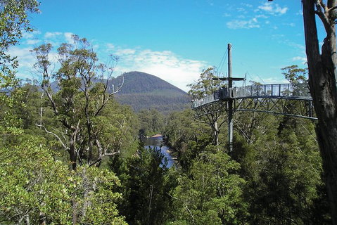 Small-group DayTour From Hobart: Hastings Caves, Huon Valley And Tahune AirWalk - Brisbane Tourism 9