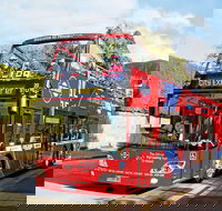 Hobart Hop-on Hop-off Bus Tour - Tourism Brisbane