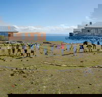 Maria Island Active Day Trip from Hobart - Tourism Brisbane