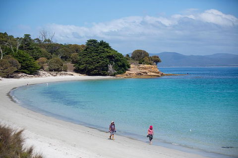 Maria Island Active Day Trip From Hobart - Tourism Brisbane 2