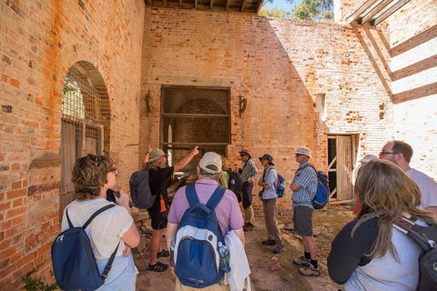 Maria Island Active Day Trip From Hobart - Tourism Brisbane 9