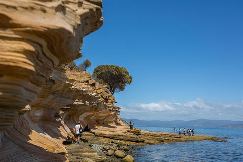 Maria Island Active Day Trip From Hobart - Tourism Brisbane 5