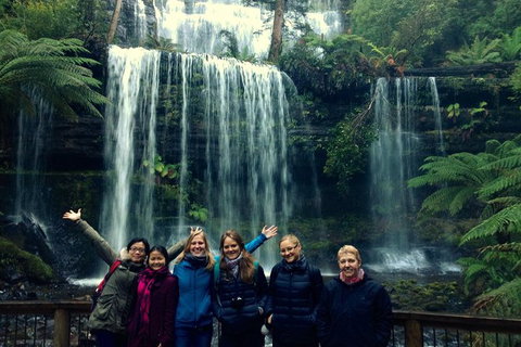 Mt Field National Park Active Day-Trip Including Bonorong And Mt Wellington - Brisbane Tourism 1