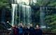 Mt Field National Park Active Day-Trip Including Bonorong And Mt Wellington - thumb 9
