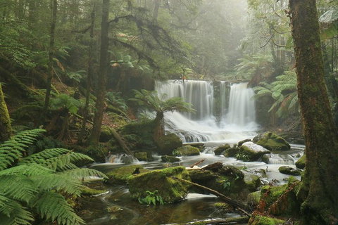Mt Field National Park Active Day-Trip Including Bonorong And Mt Wellington - Brisbane Tourism 10