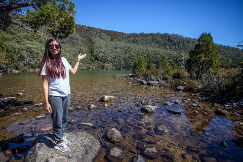 Mt Field National Park Active Day-Trip Including Bonorong And Mt Wellington - Brisbane Tourism 12