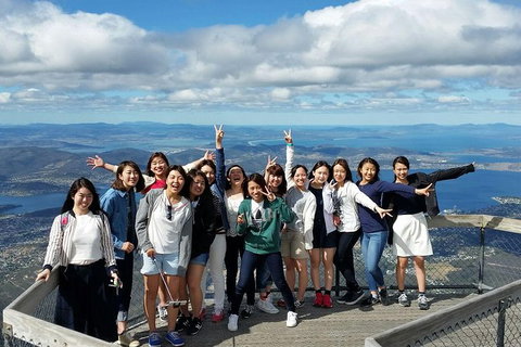 Mt Field National Park Active Day-Trip Including Bonorong And Mt Wellington - Brisbane Tourism 3