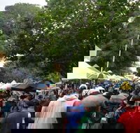 Hobart Half-Day Sightseeing Coach Tram Tour - Tourism Brisbane