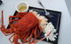 Fresh From The Ocean: Tasmanian Seafood Gourmet Full-Day Cruise Including Lunch - thumb 4