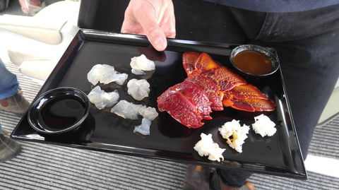 Fresh From The Ocean: Tasmanian Seafood Gourmet Full-Day Cruise Including Lunch - Tourism Brisbane 5