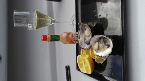 Fresh From The Ocean: Tasmanian Seafood Gourmet Full-Day Cruise Including Lunch - Tourism Brisbane 10