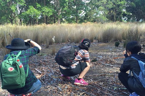 Small-Group Day Trip From Hobart To Bruny Island - Tourism Brisbane 1