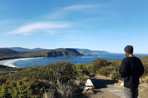 Small-Group Day Trip From Hobart To Bruny Island - Tourism Brisbane 6