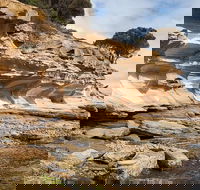 Maria Island premium private photo-oriented day tour from Hobart - Tourism Brisbane