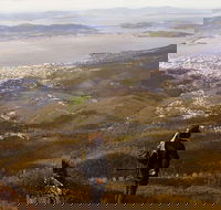 Mt Wellington Half Day Guided Summit Hike - Tourism Brisbane