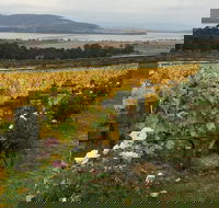 Mona and Wine Experience Tour - Tourism Brisbane