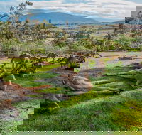 Shore Excursion Hobart's Best In Half A Day - Tourism Brisbane