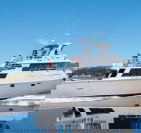 Derwent River Private Harbour Cruise on the 'Odalisque' from Hobart - Tourism Brisbane