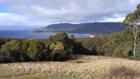 3-Day Tasmania Combo: Hobart To Launceston Active Tour - Tourism Brisbane 11
