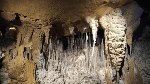 3-Day Tasmania Combo: Hobart To Launceston Active Tour - Tourism Brisbane 3