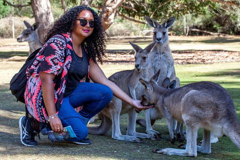 3-Day Tasmania Combo: Hobart To Launceston Active Tour - Tourism Brisbane 19