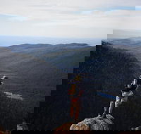 Mount Field National Park - Tarn Shelf  Russell Falls - Guided Hiking Tour - Tourism Brisbane