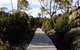 Mount Field National Park - Tarn Shelf & Russell Falls - Guided Hiking Tour - thumb 5