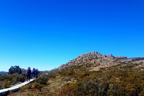 Mount Field National Park - Tarn Shelf & Russell Falls - Guided Hiking Tour - Brisbane Tourism 6