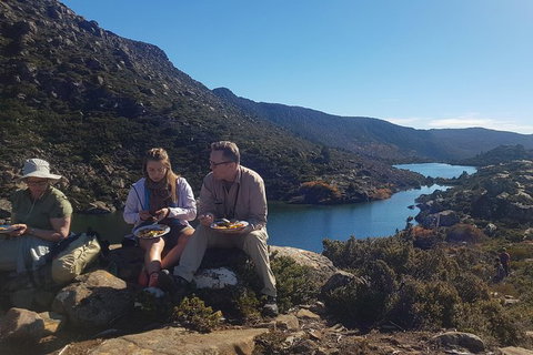 Mount Field National Park - Tarn Shelf & Russell Falls - Guided Hiking Tour - Brisbane Tourism 8