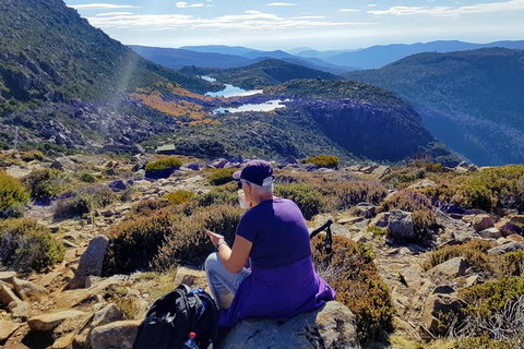 Mount Field National Park - Tarn Shelf & Russell Falls - Guided Hiking Tour - Brisbane Tourism 11