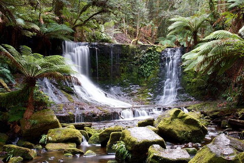 Mount Field National Park - Tarn Shelf & Russell Falls - Guided Hiking Tour - Brisbane Tourism 10