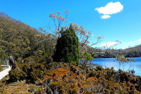 Mount Field National Park - Tarn Shelf & Russell Falls - Guided Hiking Tour - Brisbane Tourism 3
