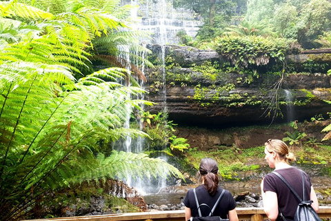 Mount Field National Park - Tarn Shelf & Russell Falls - Guided Hiking Tour - Brisbane Tourism 4