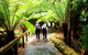 Mount Field National Park - Tarn Shelf & Russell Falls - Guided Hiking Tour - thumb 7
