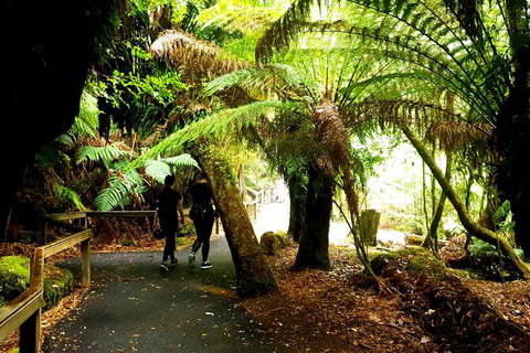 2-Day: Hiking Tour: Maria Island & Mount Field - Brisbane Tourism 4