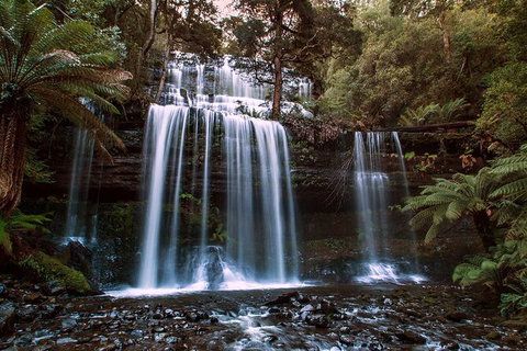 2-Day: Hiking Tour: Maria Island & Mount Field - Brisbane Tourism 10