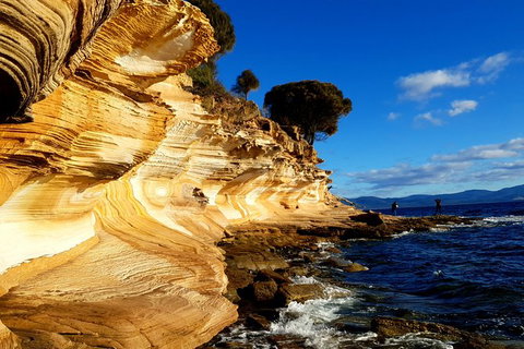 2-Day: Hiking Tour: Maria Island & Mount Field - Brisbane Tourism 7