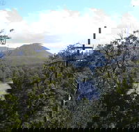 Huon Valley and Tahune Forest Airwalk Tour from Hobart - Tourism Brisbane
