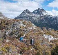 5-Day Tasmania West Coast Camping Tour Hobart to Launceston Including Mount Field National Park Tarkine and Cradle Mountain - Brisbane Tourism