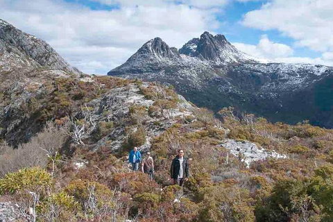 5-Day Tasmania West Coast Camping Tour: Hobart To Launceston Including Mount Field National Park, Tarkine And Cradle Mountain - Brisbane Tourism 0