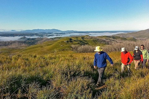 5-Day Tasmania West Coast Camping Tour: Hobart To Launceston Including Mount Field National Park, Tarkine And Cradle Mountain - Brisbane Tourism 1